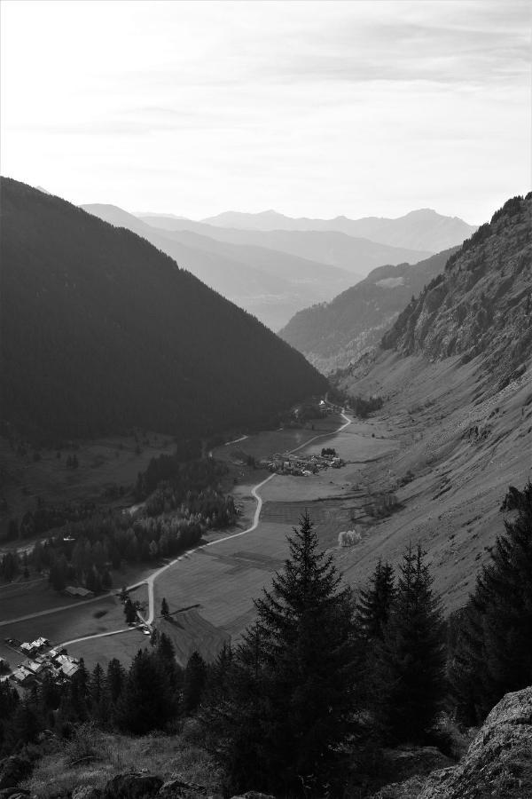 La Maizon Du Bois - Le Haut Appartement De 130 M2 - Le Bas Appartement De 70 M2 La Plagne Exterior foto